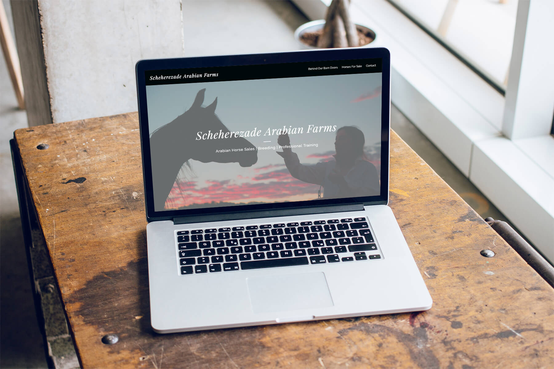 ns-design-scheherezade-arabian-farms-web-design-macbook ns-design-scheherezade-arabian-farms-web-design-macbook