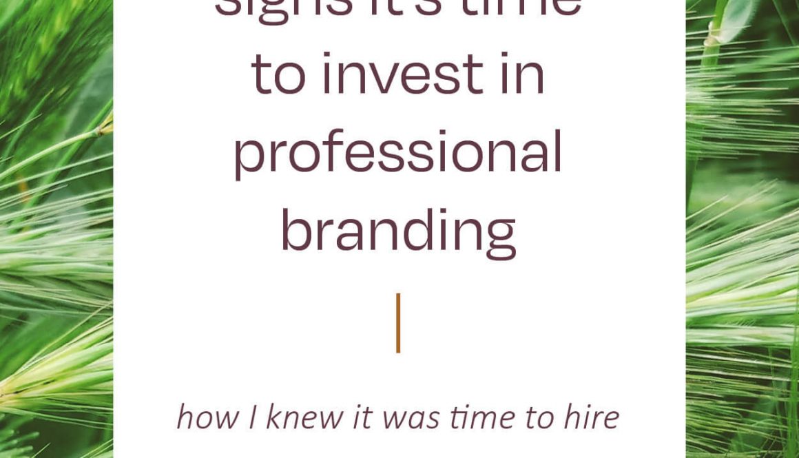 Nadia-Soucek-Design-Field-Guide-3-Signs-Its-Time-To-Invest-In-Professional-Branding